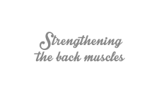 Strenghtening  the back muscles